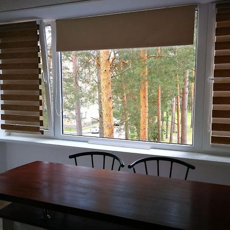 Light One Room Apartment 维萨吉纳斯 外观 照片