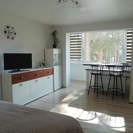 Light One Room Apartment 维萨吉纳斯 外观 照片