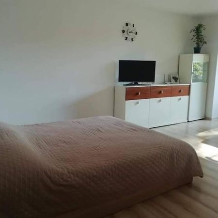 Light One Room Apartment 维萨吉纳斯 外观 照片