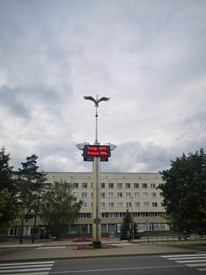 Light One Room Apartment 维萨吉纳斯 外观 照片